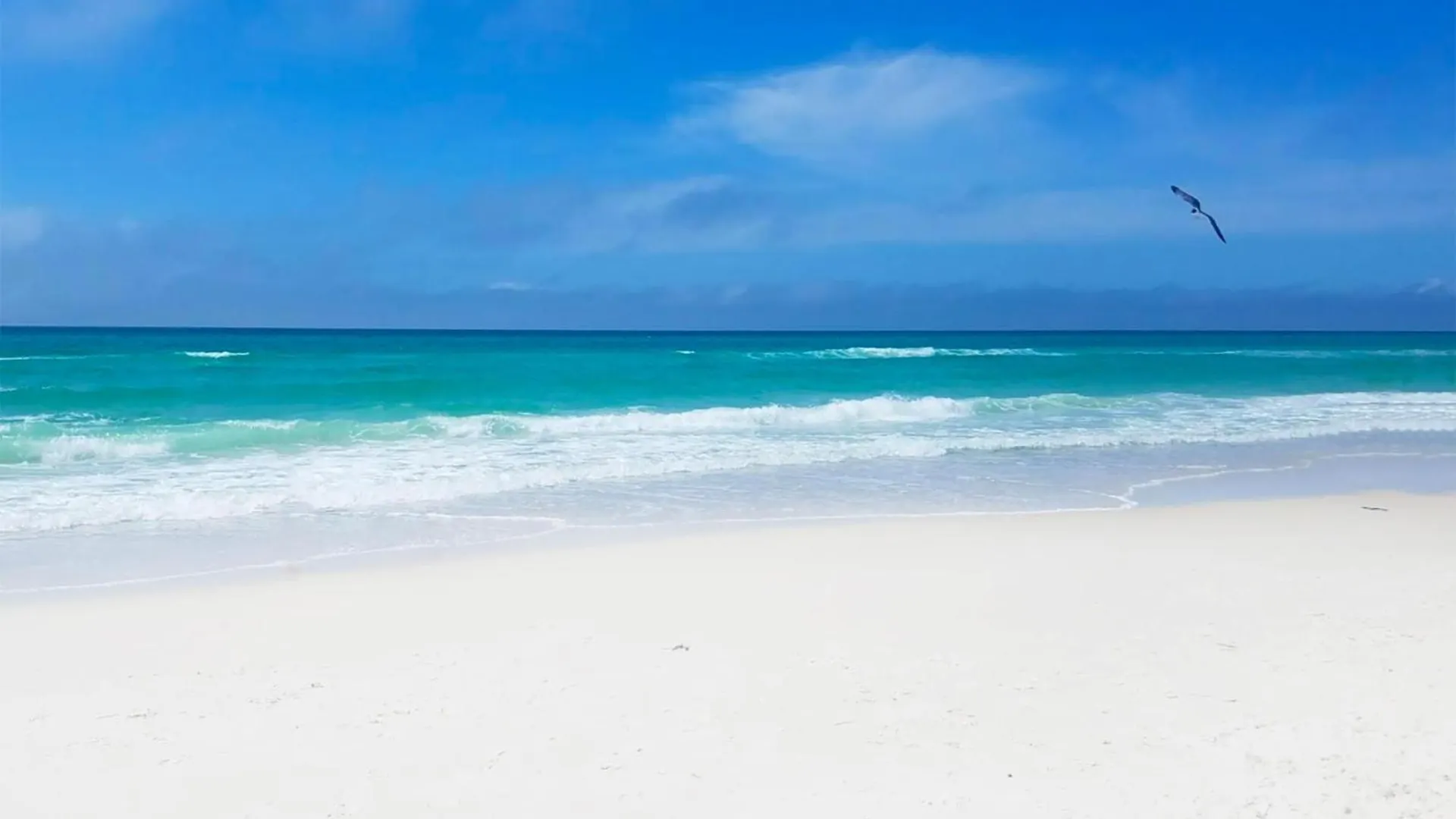 Twin Palms 1401 Aparthotel Panama City Beach 0*,  United States